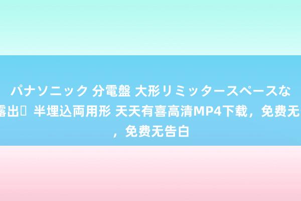 パナソニック 分電盤 大形リミッタースペースなし 露出・半埋込両用形 天天有喜高清MP4下载，免费无告白