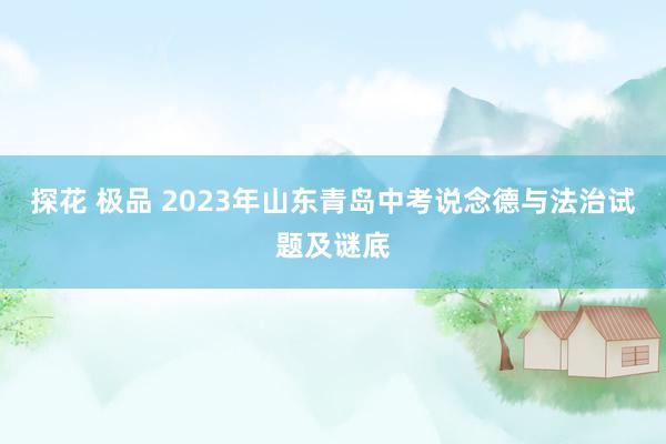 探花 极品 2023年山东青岛中考说念德与法治试题及谜底