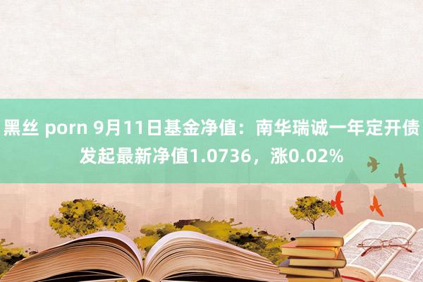 黑丝 porn 9月11日基金净值：南华瑞诚一年定开债发起最新净值1.0736，涨0.02%