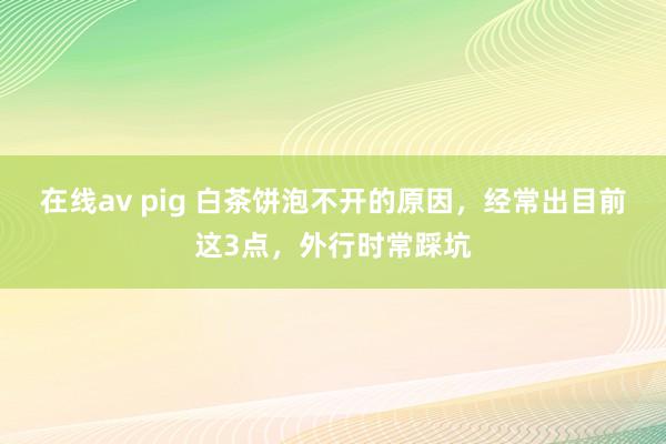 在线av pig 白茶饼泡不开的原因，经常出目前这3点，外行时常踩坑