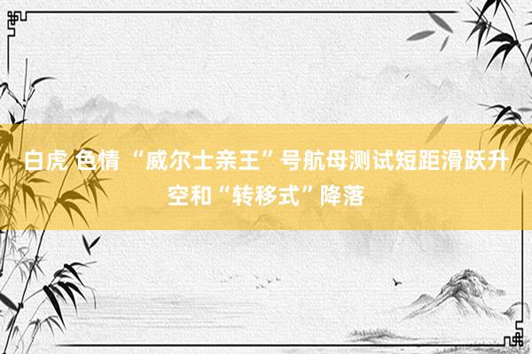 白虎 色情 “威尔士亲王”号航母测试短距滑跃升空和“转移式”降落