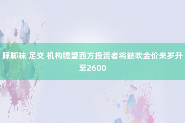 踩脚袜 足交 机构瞻望西方投资者将鼓吹金价来岁升至2600