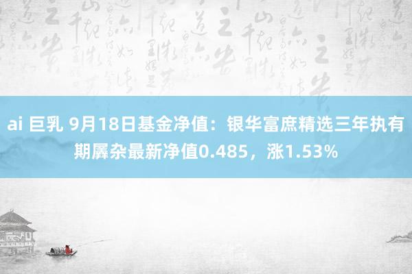 ai 巨乳 9月18日基金净值：银华富庶精选三年执有期羼杂最新净值0.485，涨1.53%