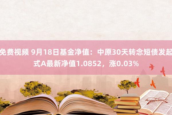 免费视频 9月18日基金净值：中原30天转念短债发起式A最新净值1.0852，涨0.03%