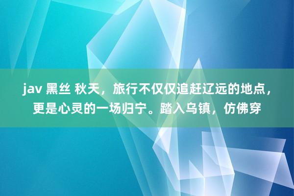 jav 黑丝 秋天，旅行不仅仅追赶辽远的地点，更是心灵的一场归宁。踏入乌镇，仿佛穿