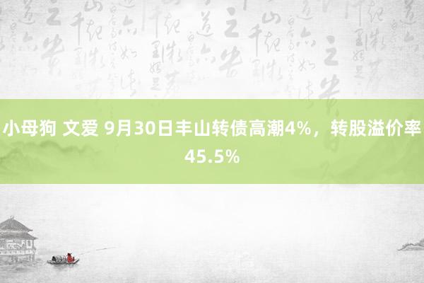 小母狗 文爱 9月30日丰山转债高潮4%，转股溢价率45.5%