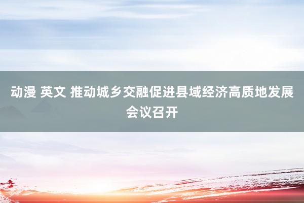 动漫 英文 推动城乡交融促进县域经济高质地发展会议召开