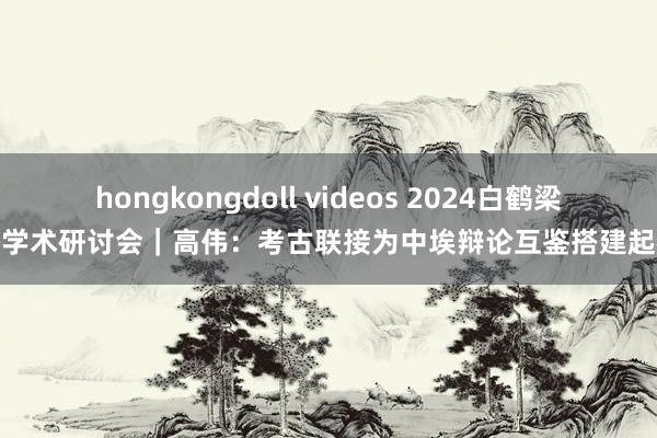 hongkongdoll videos 2024白鹤梁海外学术研讨会｜高伟：考古联接为中埃辩论互鉴搭建起桥梁