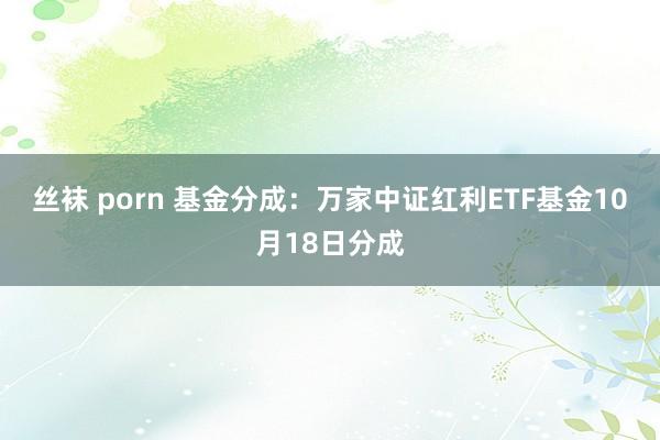 丝袜 porn 基金分成：万家中证红利ETF基金10月18日分成