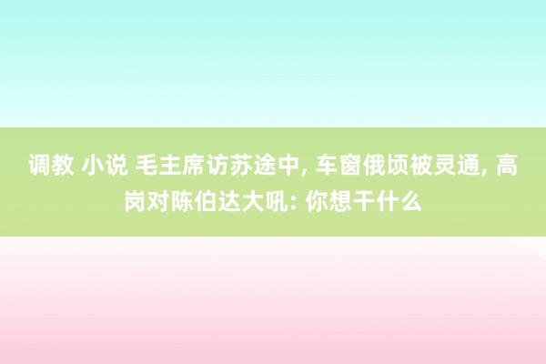 调教 小说 毛主席访苏途中， 车窗俄顷被灵通， 高岗对陈伯达大吼: 你想干什么