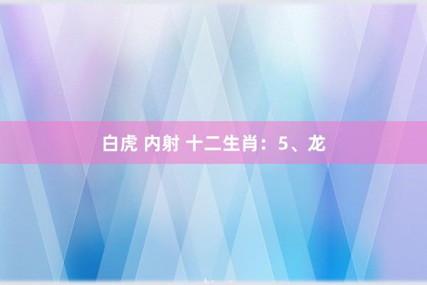 白虎 内射 十二生肖：5、龙