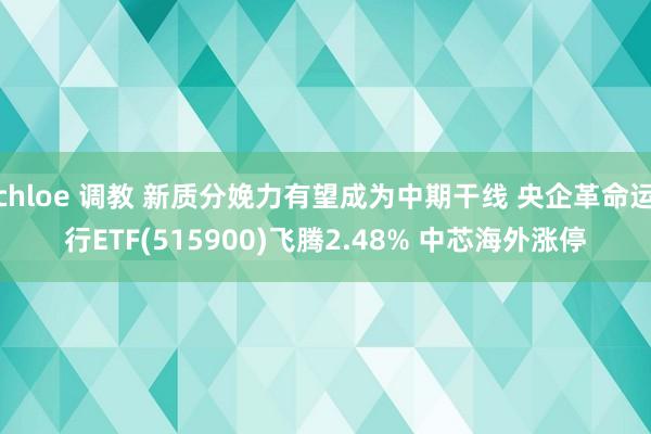 chloe 调教 新质分娩力有望成为中期干线 央企革命运行ETF(515900)飞腾2.48% 中芯海外涨停