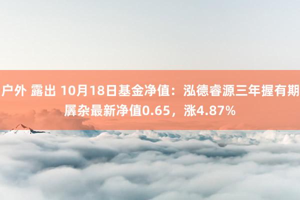 户外 露出 10月18日基金净值：泓德睿源三年握有期羼杂最新净值0.65，涨4.87%