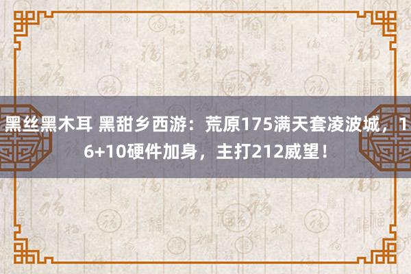 黑丝黑木耳 黑甜乡西游：荒原175满天套凌波城，16+10硬件加身，主打212威望！