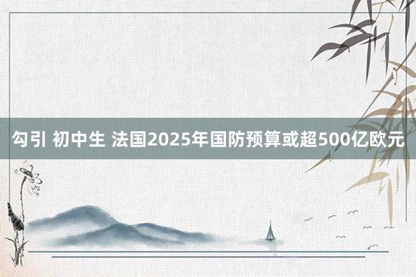 勾引 初中生 法国2025年国防预算或超500亿欧元