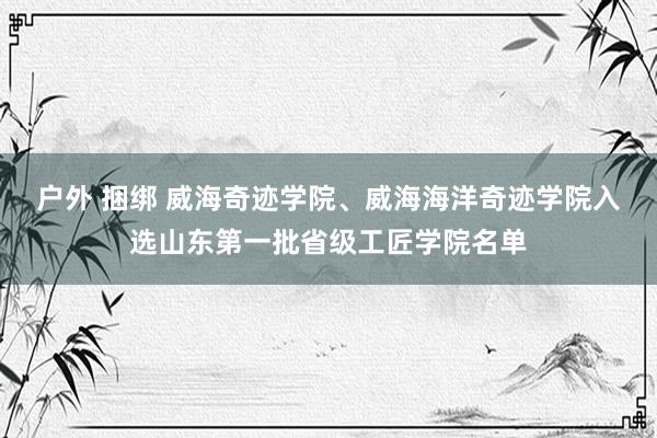 户外 捆绑 威海奇迹学院、威海海洋奇迹学院入选山东第一批省级工匠学院名单