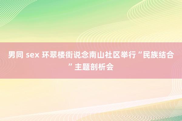 男同 sex 环翠楼街说念南山社区举行“民族结合”主题剖析会