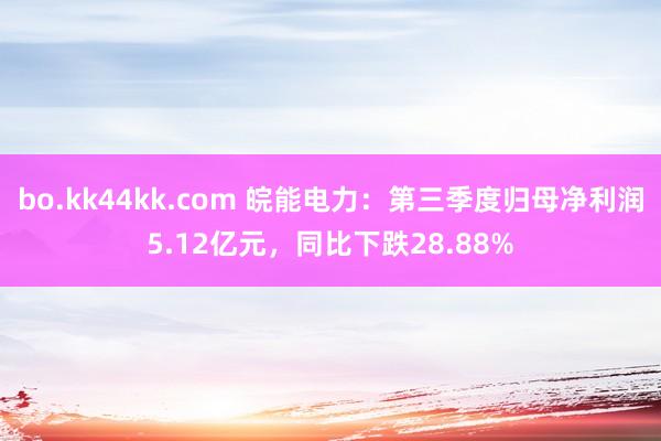 bo.kk44kk.com 皖能电力：第三季度归母净利润5.12亿元，同比下跌28.88%