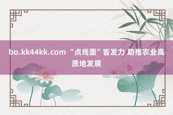 bo.kk44kk.com “点线面”皆发力 助推农业高质地发展