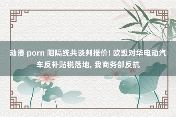 动漫 porn 阻隔统共谈判报价! 欧盟对华电动汽车反补贴税落地， 我商务部反抗