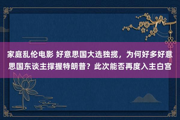 家庭乱伦电影 好意思国大选独揽，为何好多好意思国东谈主撑握特朗普？此次能否再度入主白宫