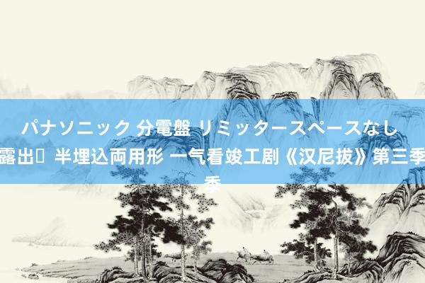 パナソニック 分電盤 リミッタースペースなし 露出・半埋込両用形 一气看竣工剧《汉尼拔》第三季