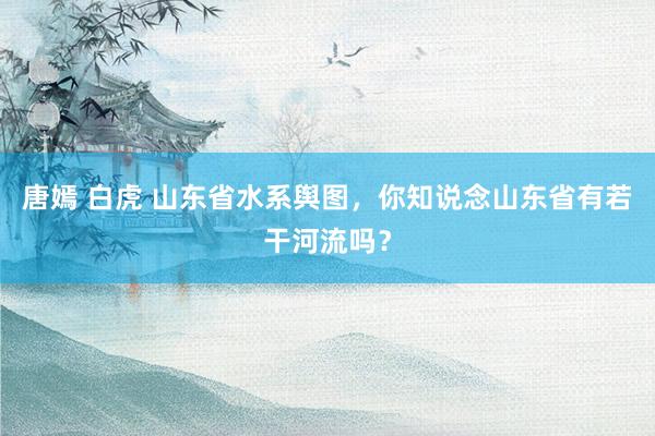 唐嫣 白虎 山东省水系舆图，你知说念山东省有若干河流吗？