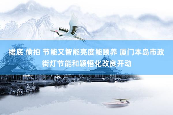 裙底 偷拍 节能又智能亮度能颐养 厦门本岛市政街灯节能和颖悟化改良开动