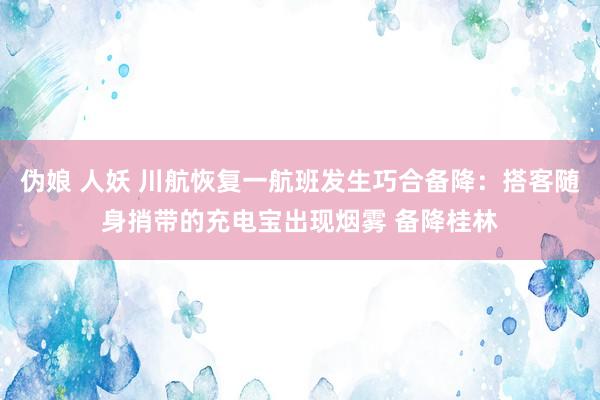 伪娘 人妖 川航恢复一航班发生巧合备降：搭客随身捎带的充电宝出现烟雾 备降桂林