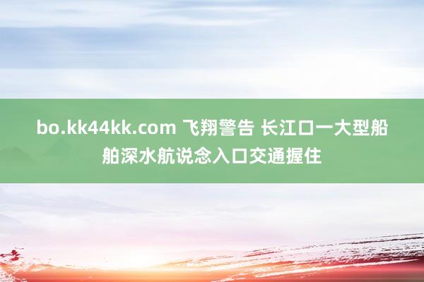 bo.kk44kk.com 飞翔警告 长江口一大型船舶深水航说念入口交通握住