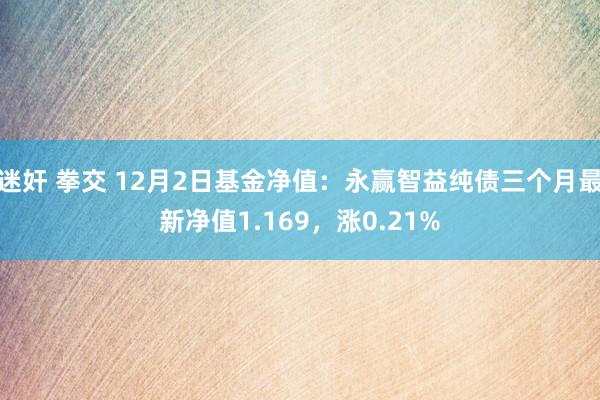 迷奸 拳交 12月2日基金净值：永赢智益纯债三个月最新净值1.169，涨0.21%