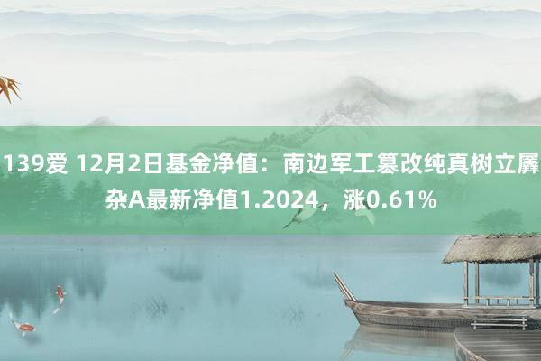 139爱 12月2日基金净值：南边军工篡改纯真树立羼杂A最新净值1.2024，涨0.61%