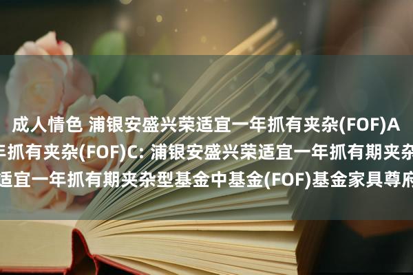 成人情色 浦银安盛兴荣适宜一年抓有夹杂(FOF)A，浦银安盛兴荣适宜一年抓有夹杂(FOF)C: 浦银安盛兴荣适宜一年抓有期夹杂型基金中基金(FOF)基金家具尊府概要更新