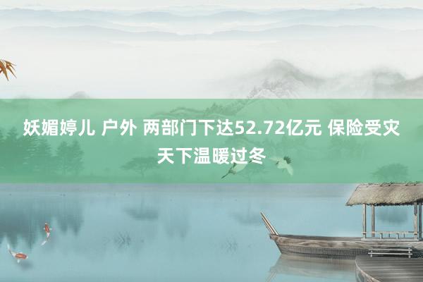 妖媚婷儿 户外 两部门下达52.72亿元 保险受灾天下温暖过冬