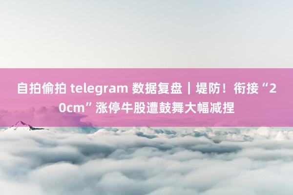 自拍偷拍 telegram 数据复盘｜堤防！衔接“20cm”涨停牛股遭鼓舞大幅减捏