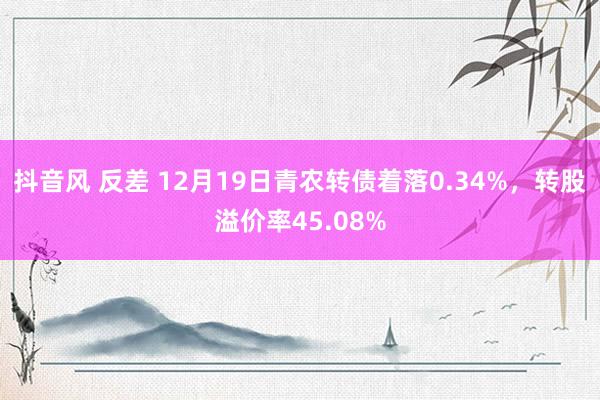 抖音风 反差 12月19日青农转债着落0.34%，转股溢价率45.08%