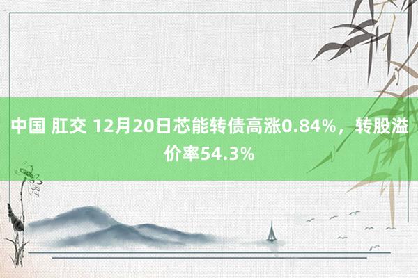 中国 肛交 12月20日芯能转债高涨0.84%，转股溢价率54.3%