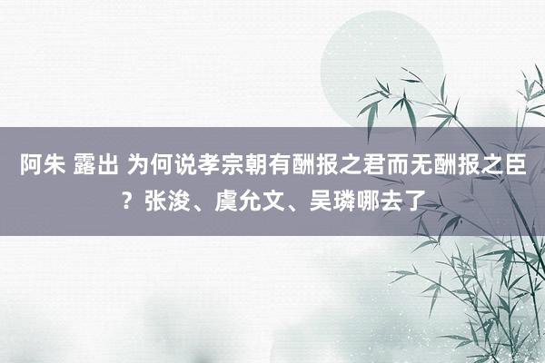 阿朱 露出 为何说孝宗朝有酬报之君而无酬报之臣？张浚、虞允文、吴璘哪去了