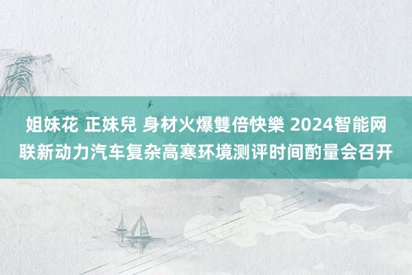 姐妹花 正妹兒 身材火爆雙倍快樂 2024智能网联新动力汽车复杂高寒环境测评时间酌量会召开