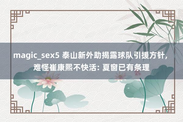 magic_sex5 泰山新外助揭露球队引援方针， 难怪崔康熙不快活: 夏窗已有条理