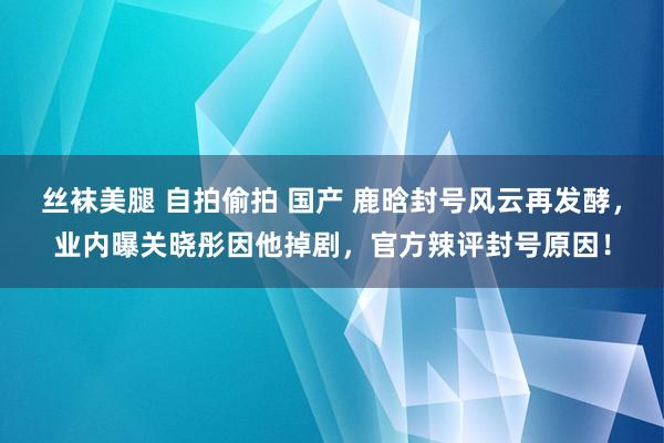 丝袜美腿 自拍偷拍 国产 鹿晗封号风云再发酵，业内曝关晓彤因他掉剧，官方辣评封号原因！