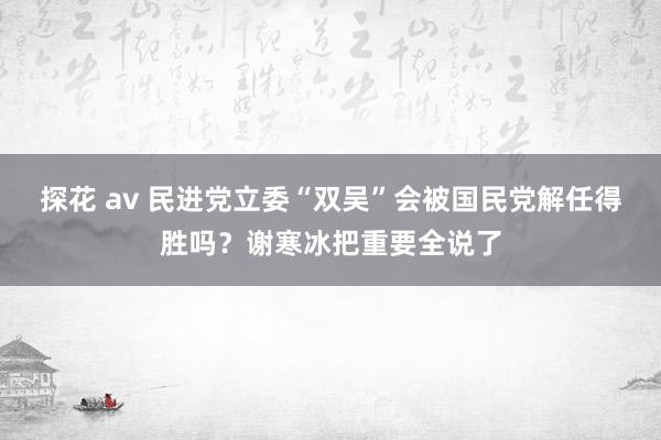 探花 av 民进党立委“双吴”会被国民党解任得胜吗？谢寒冰把重要全说了