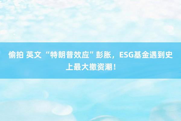 偷拍 英文 “特朗普效应”彭胀，ESG基金遇到史上最大撤资潮！